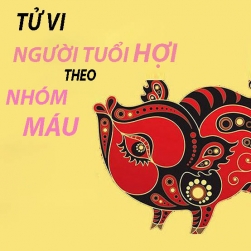 tu-vi-tinh-cach-nhung-nguoi-tuoi-hoi-theo-nhom-mau.html
