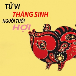 tu-vi-cuoc-doi-va-van-menh-thang-sinh-cua-nhung-nguoi-tuoi-hoi.html