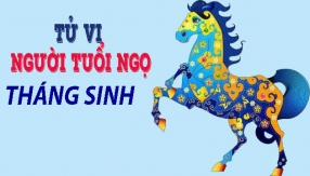 tu-vi-cuoc-doi-va-van-menh-thang-sinh-cua-nhung-nguoi-tuoi-ngo.html