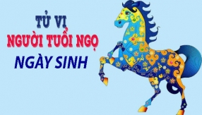 tu-vi-cuoc-doi-va-van-menh-ngay-sinh-cua-nhung-nguoi-tuoi-ngo.html