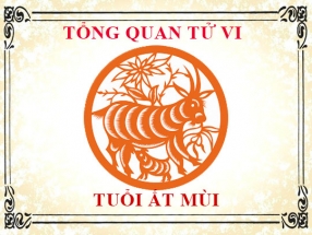 tu-vi-nam-nhung-nguoi-sinh-nam-2015-at-mui.html