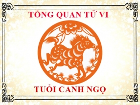 tu-vi-nam-nhung-nguoi-sinh-nam-1990-canh-ngo-a125.html