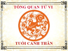 tu-vi-nam-nhung-nguoi-sinh-nam-1980-canh-than.html