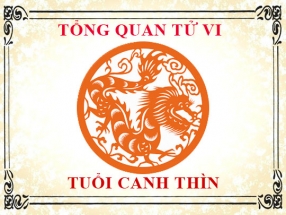 tu-vi-nam-nhung-nguoi-sinh-nam-2000-canh-thin.html