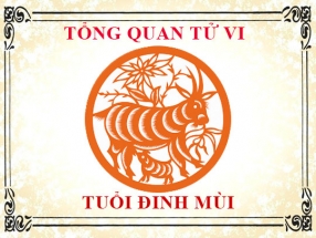 tu-vi-nam-nhung-nguoi-sinh-nam-1967-dinh-mui.html