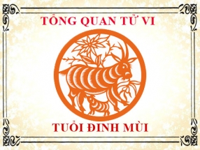 tu-vi-nam-nhung-nguoi-sinh-nam-1967-dinh-mui.html