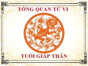 tu-vi-nam-nhung-nguoi-sinh-nam-2004-giap-than.html