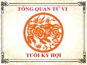tu-vi-nam-nhung-nguoi-sinh-nam-2019-ky-hoi.html