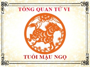 tu-vi-nam-nhung-nguoi-sinh-nam-1978-mau-ngo.html
