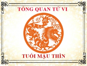 tu-vi-nam-nhung-nguoi-sinh-nam-1988-mau-thin.html