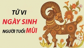 tu-vi-cuoc-doi-va-van-menh-ngay-sinh-cua-nhung-nguoi-tuoi-mui.html