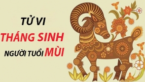 tu-vi-cuoc-doi-va-van-menh-thang-sinh-cua-nhung-nguoi-tuoi-mui.html