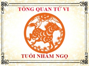 tu-vi-nam-nhung-nguoi-sinh-nam-2002-nham-ngo.html