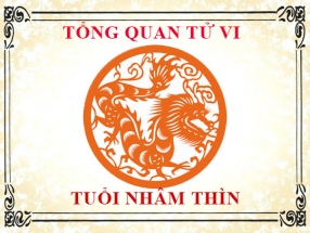 tu-vi-nam-nhung-nguoi-sinh-nam-2012-nham-thin.html