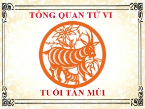 tu-vi-nam-nhung-nguoi-sinh-nam-1991-tan-mui.html
