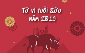 tong-quan-tu-vi-tuoi-suu-nam-2019-a87.html
