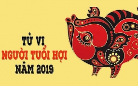 tong-quan-tu-vi-tuoi-hoi-nam-2019.html