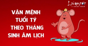 ty-van-menh-thang-sinh-theo-am-lich.html