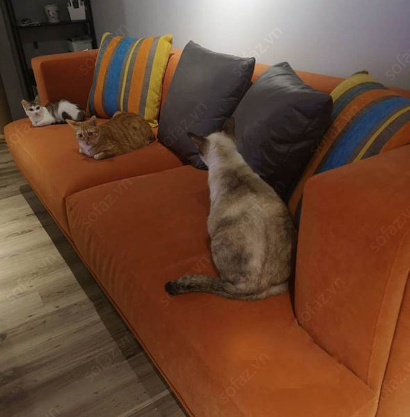 ghe-sofa-vang-2-cho-ngoi-phong-khach-hien-dai