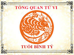 tu-vi-nam-nhung-nguoi-sinh-nam-1996-binh-ty.html